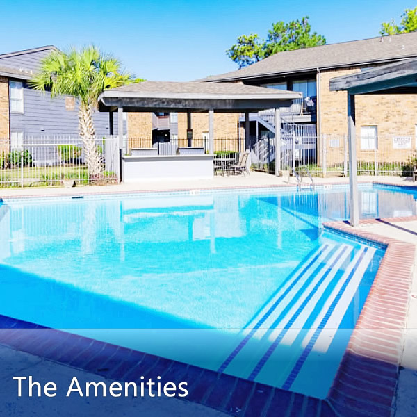 Features & Amenities